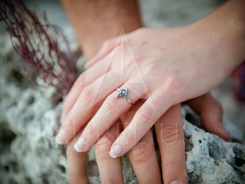 Länglicher Drachen Salz- und Pfeffer-Diamant-Verlobungsring mit offenem Blattwerk-Ehering