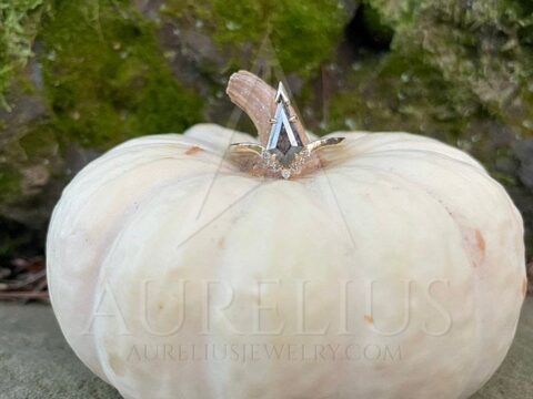 anillo de compromiso moderno colocado en una calabaza imprescindible para la novia vegetariana