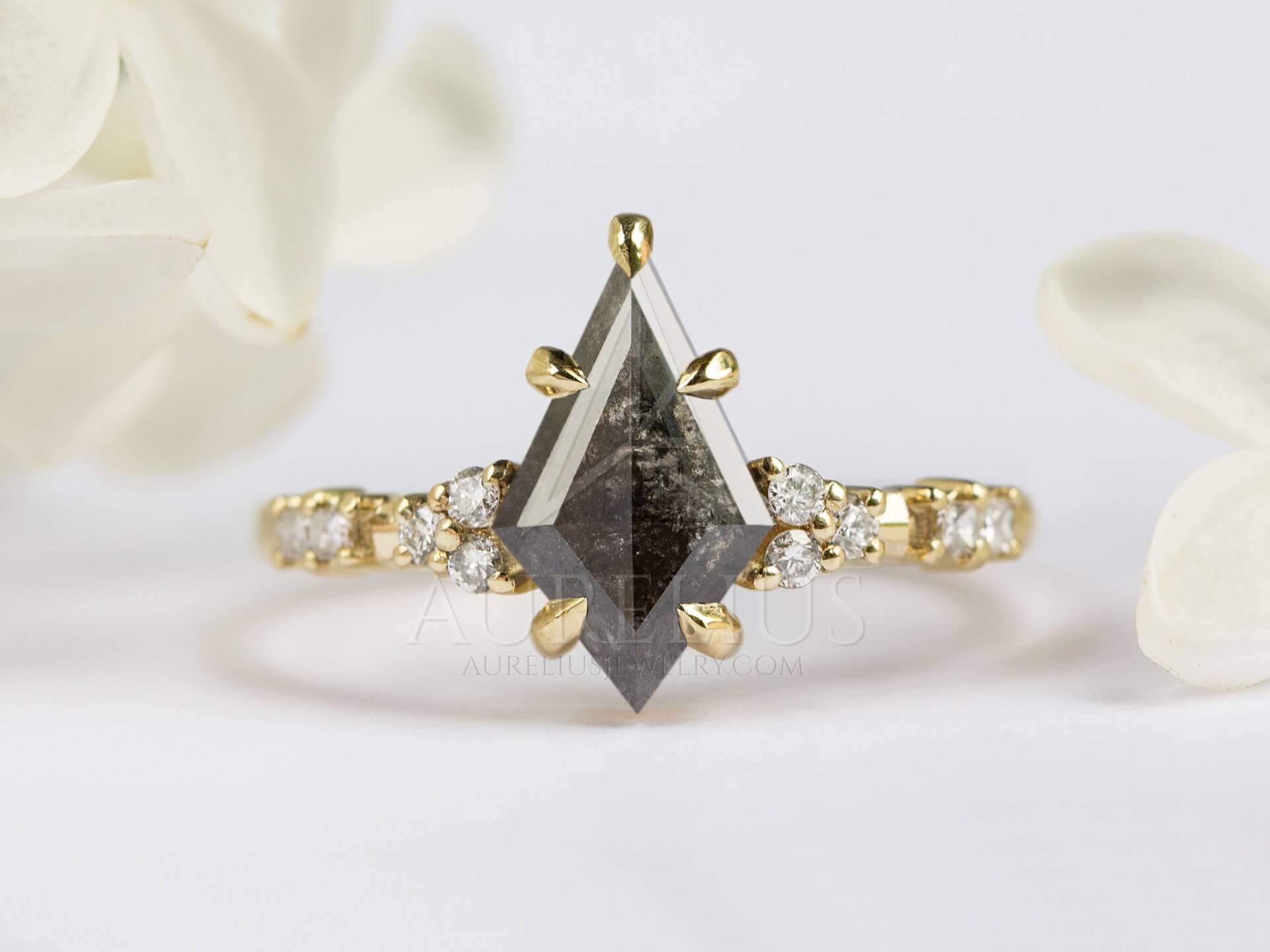 Kite Cut Engagement Ring with Salt and Pepper Diamond - Whitney