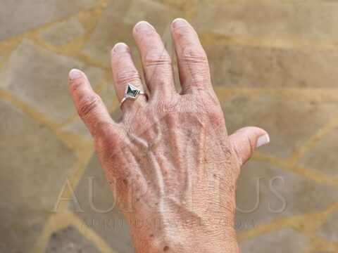 Black Kite Salt and Pepper Diamond Engagement Ring