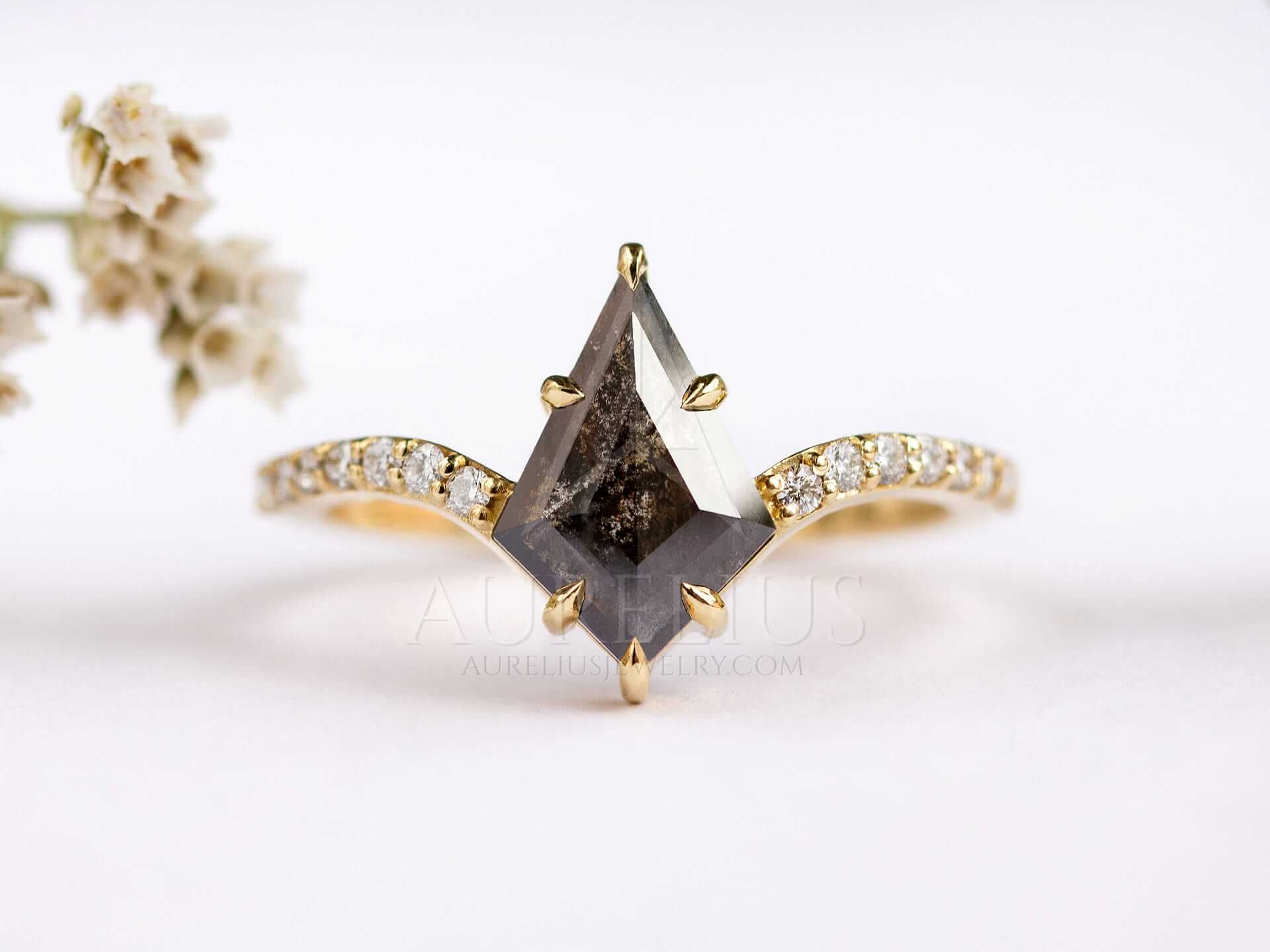 Kite Engagement Ring with Large Salt and Pepper Diamond - Elizabeth